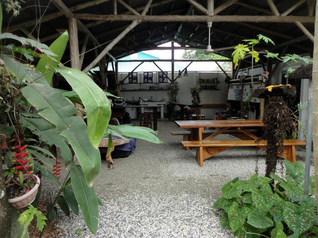 Cabinas Tropicales Пуэрто-Хименес Экстерьер фото