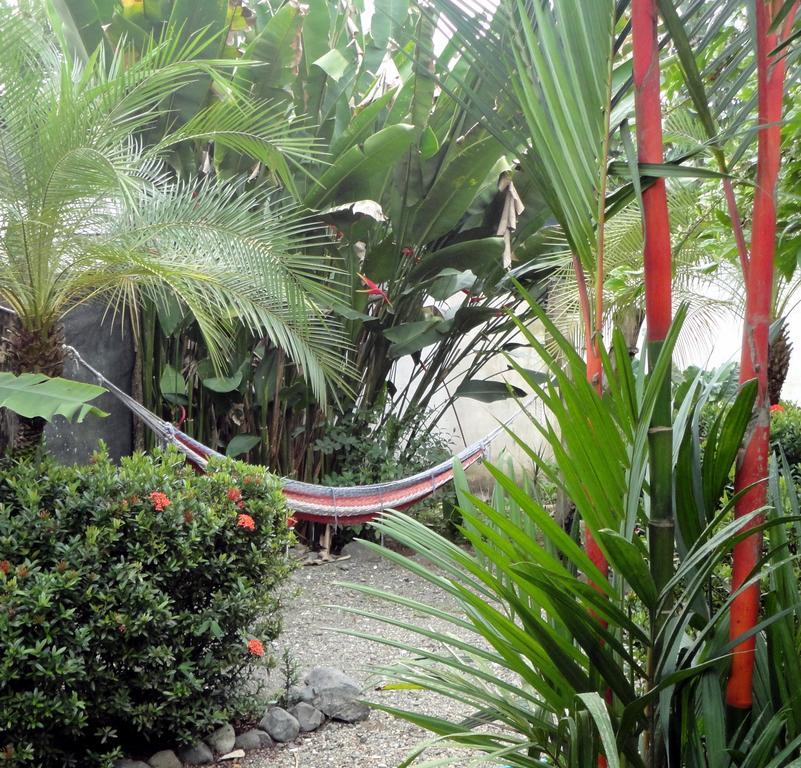 Cabinas Tropicales Пуэрто-Хименес Экстерьер фото