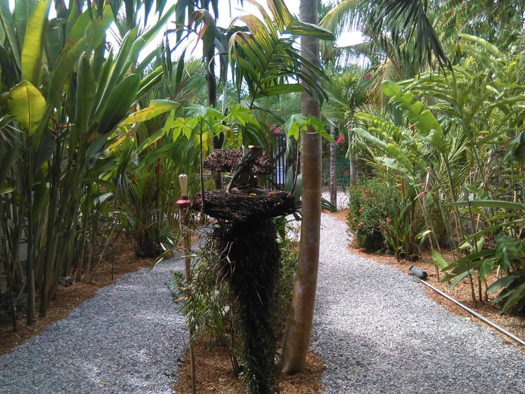 Cabinas Tropicales Пуэрто-Хименес Номер фото