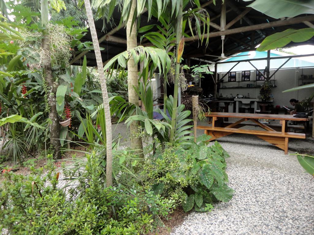 Cabinas Tropicales Пуэрто-Хименес Номер фото