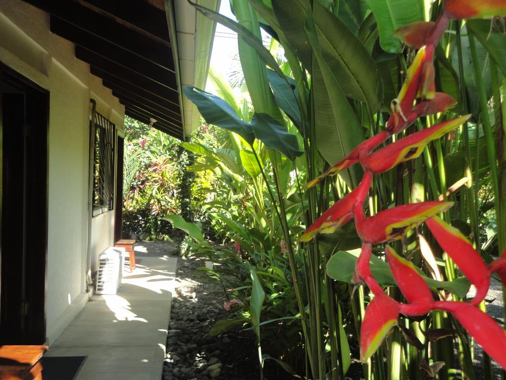 Cabinas Tropicales Пуэрто-Хименес Номер фото