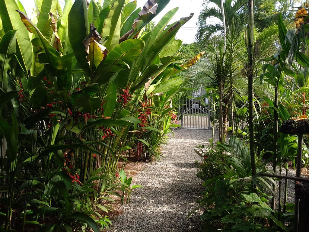 Cabinas Tropicales Пуэрто-Хименес Экстерьер фото