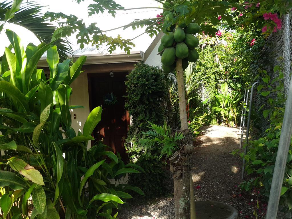 Cabinas Tropicales Пуэрто-Хименес Экстерьер фото
