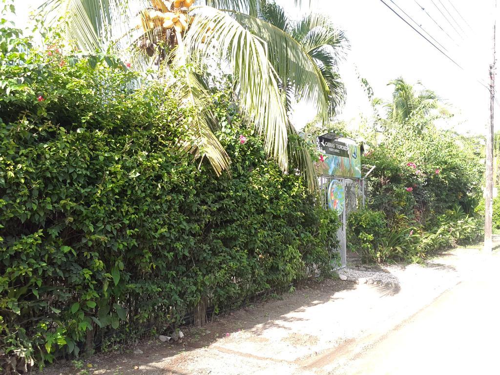 Cabinas Tropicales Пуэрто-Хименес Экстерьер фото